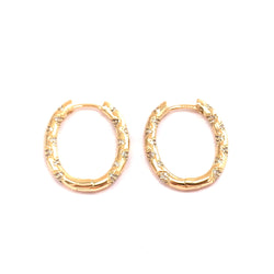 Gold Paved Earrings
