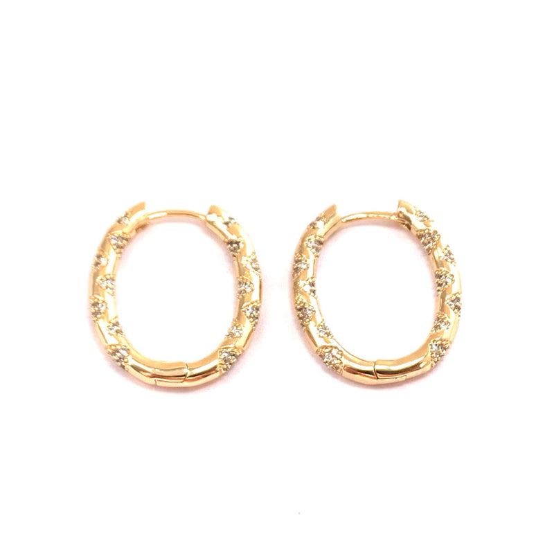 Gold Paved Earrings